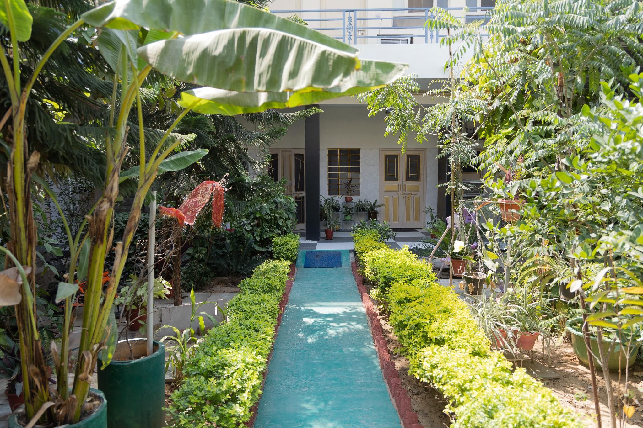 Garden