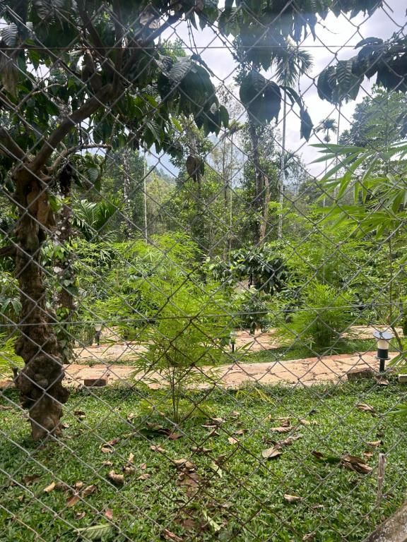  Sylvan Resort Garden View Family AC Deluxe Room 3