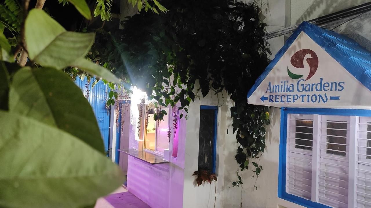 ADH Amilia Gardens