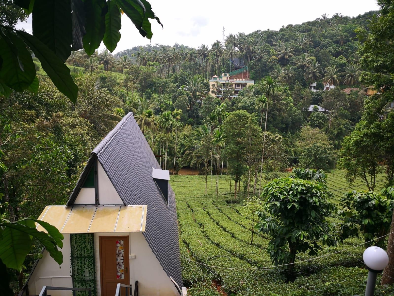 Hotel View