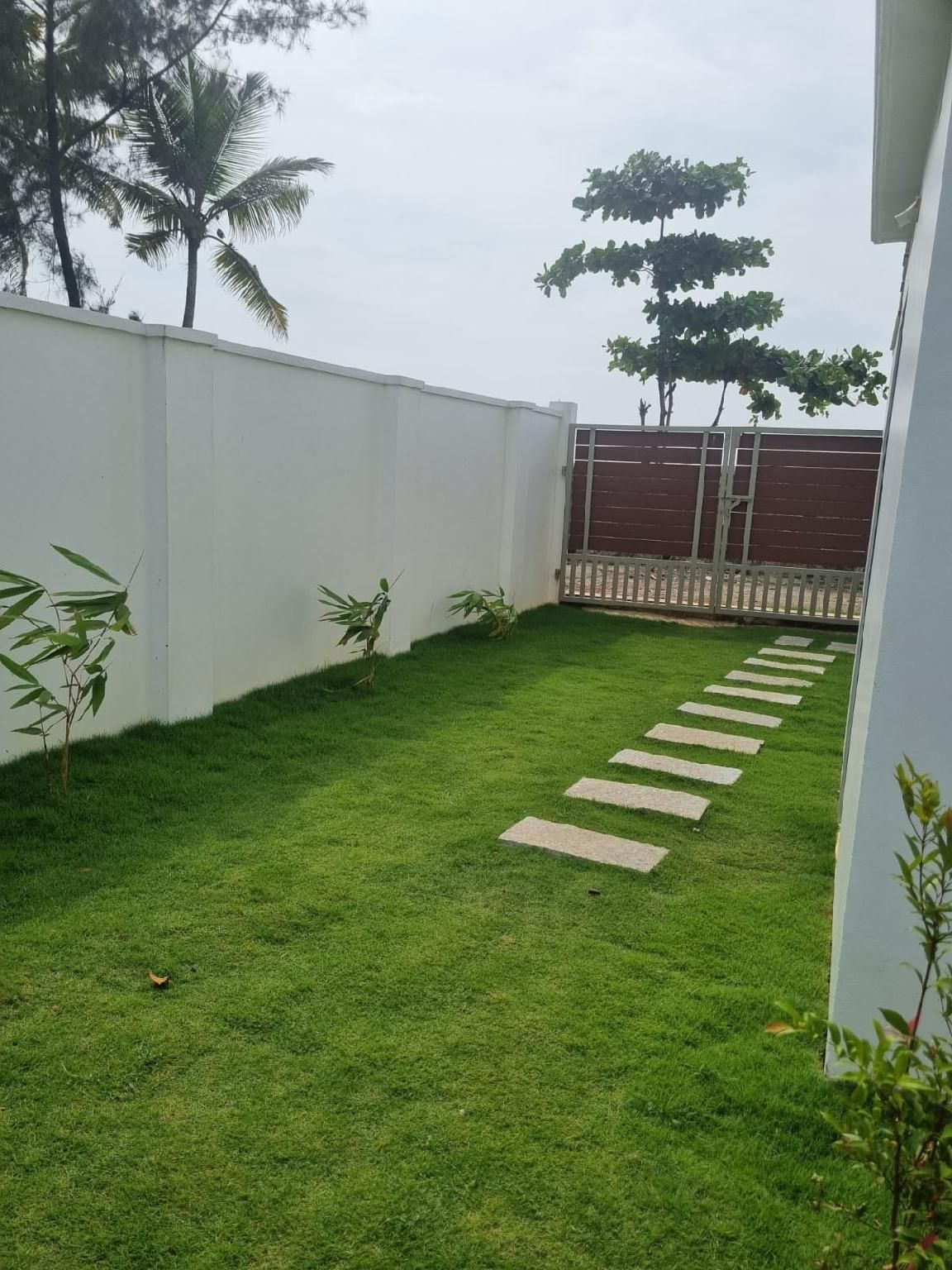 Surrounding environment