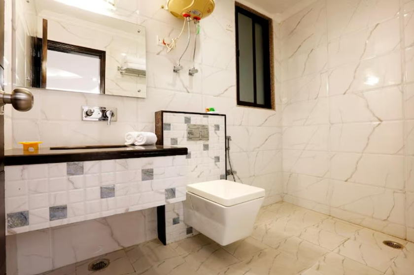 Hotel Anand International Deluxe  6