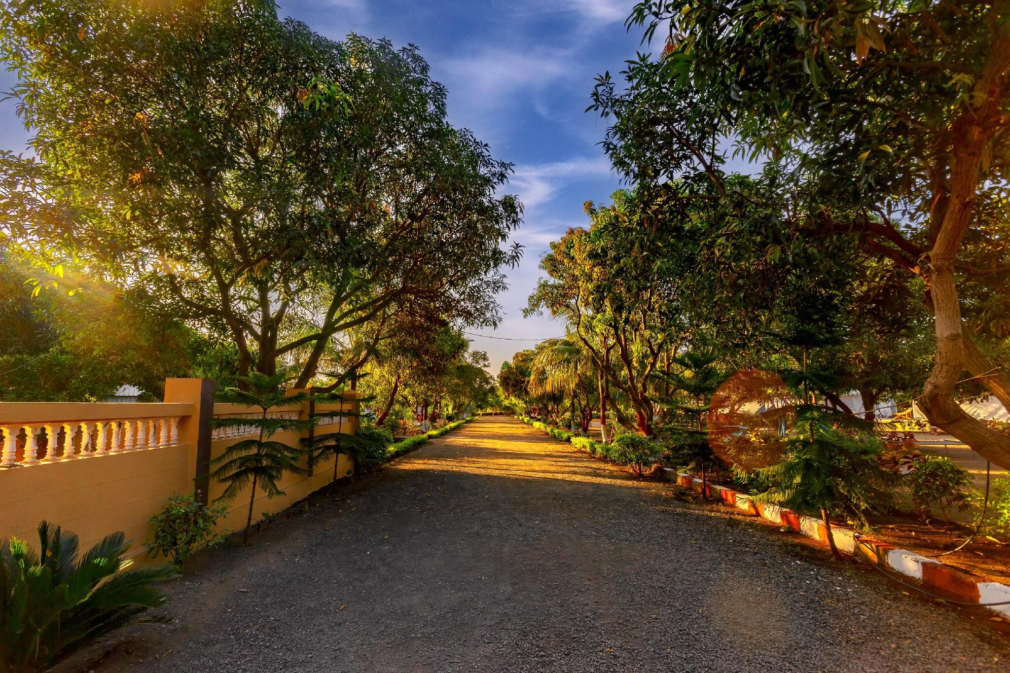 Surrounding environment