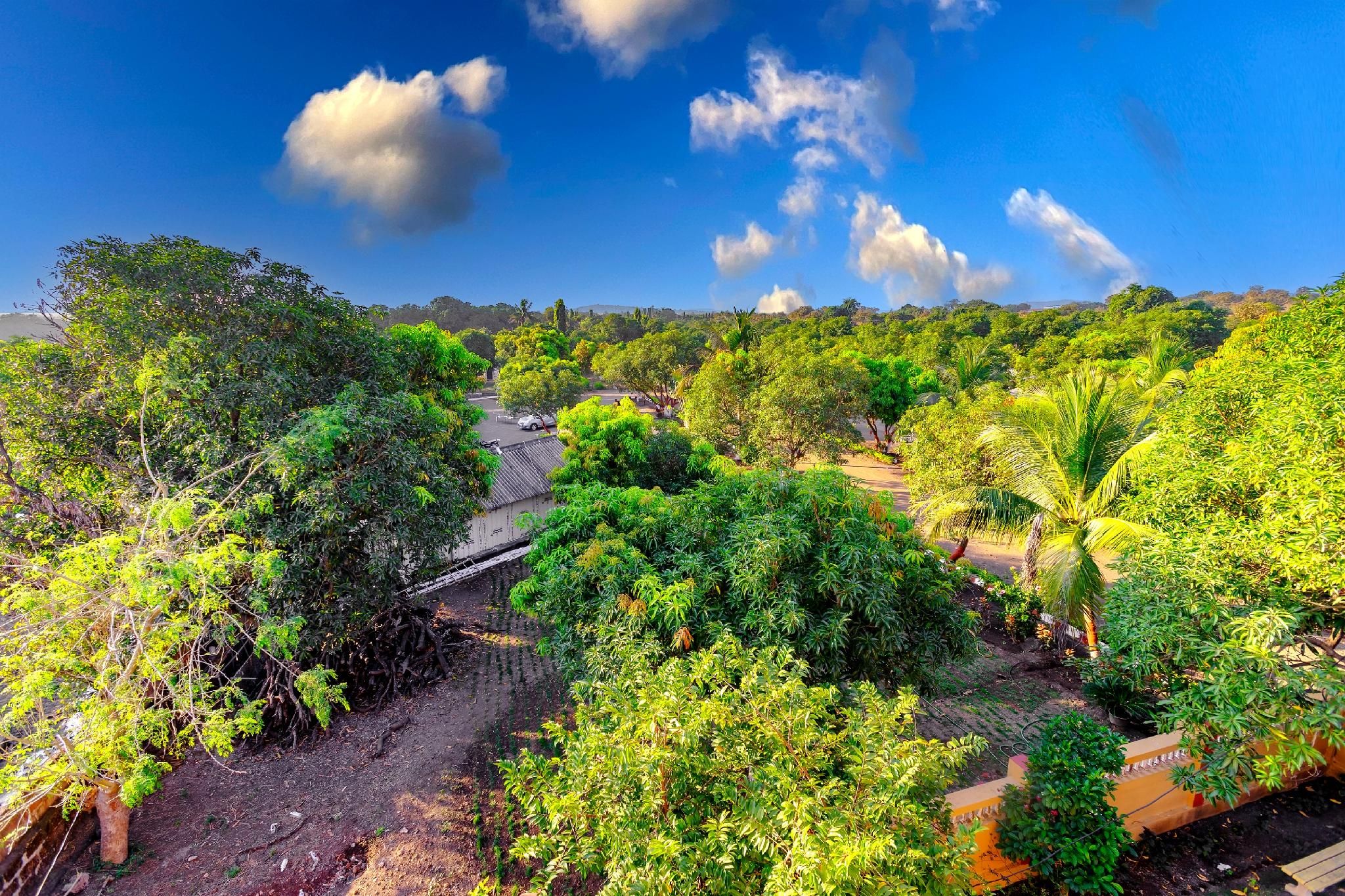 Surrounding environment