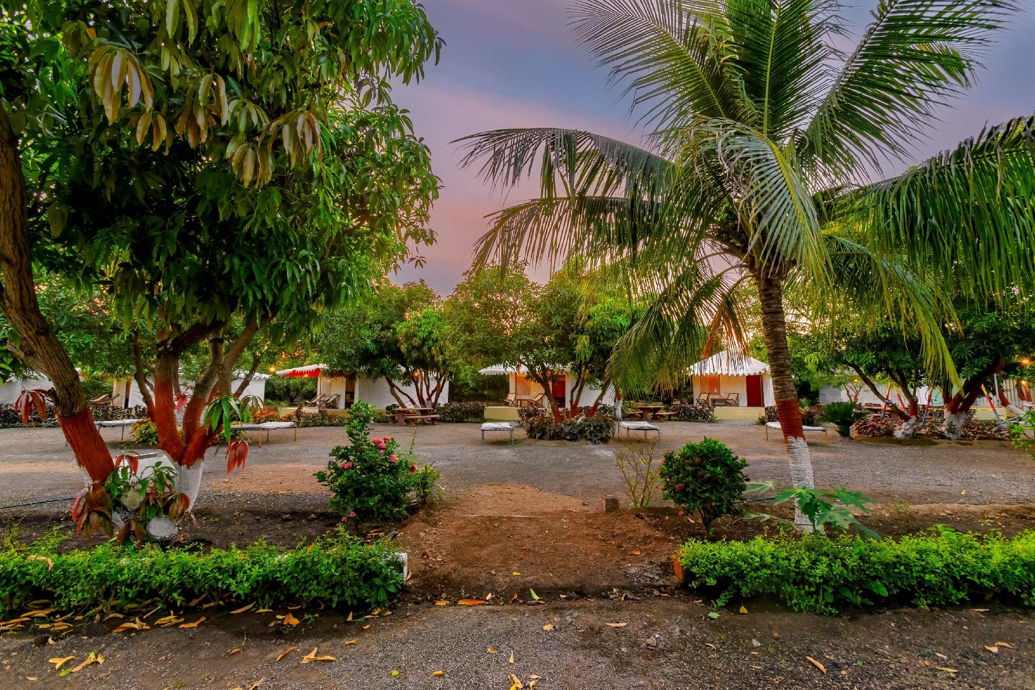 Surrounding environment