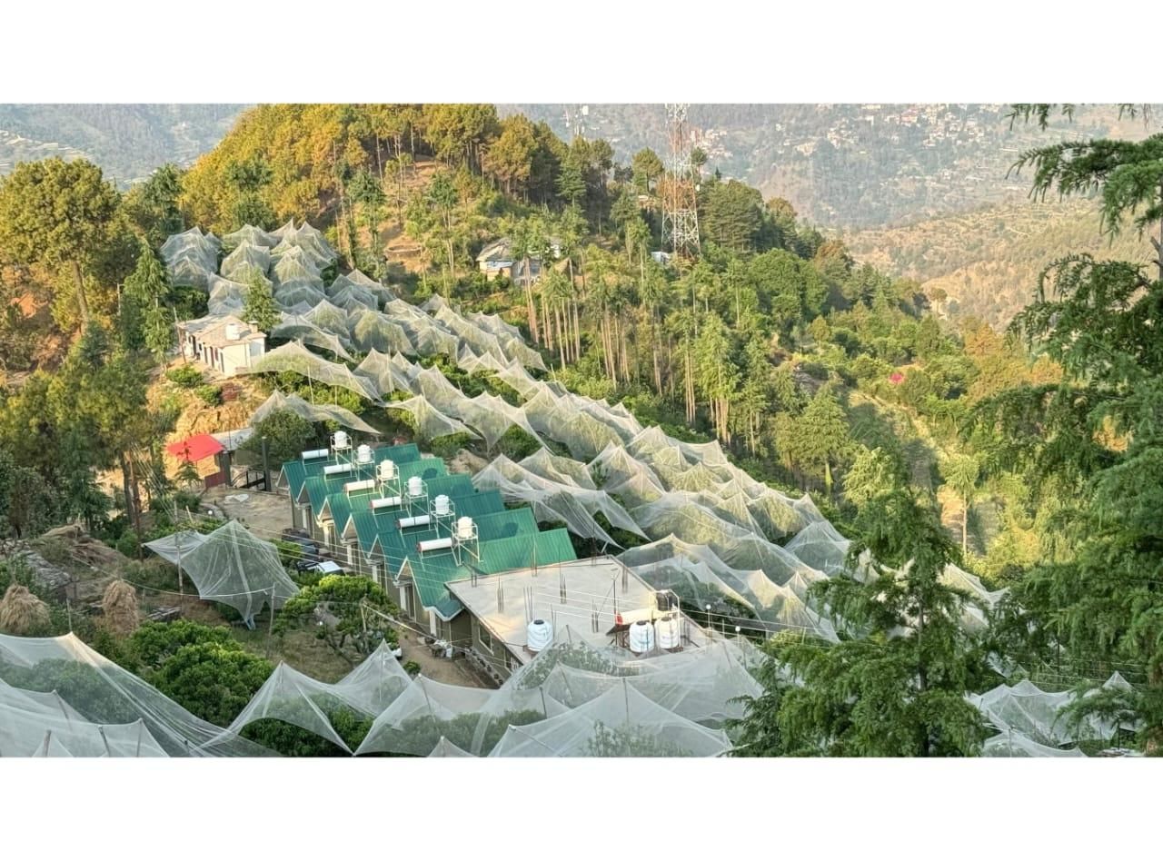 Valley View Cottage