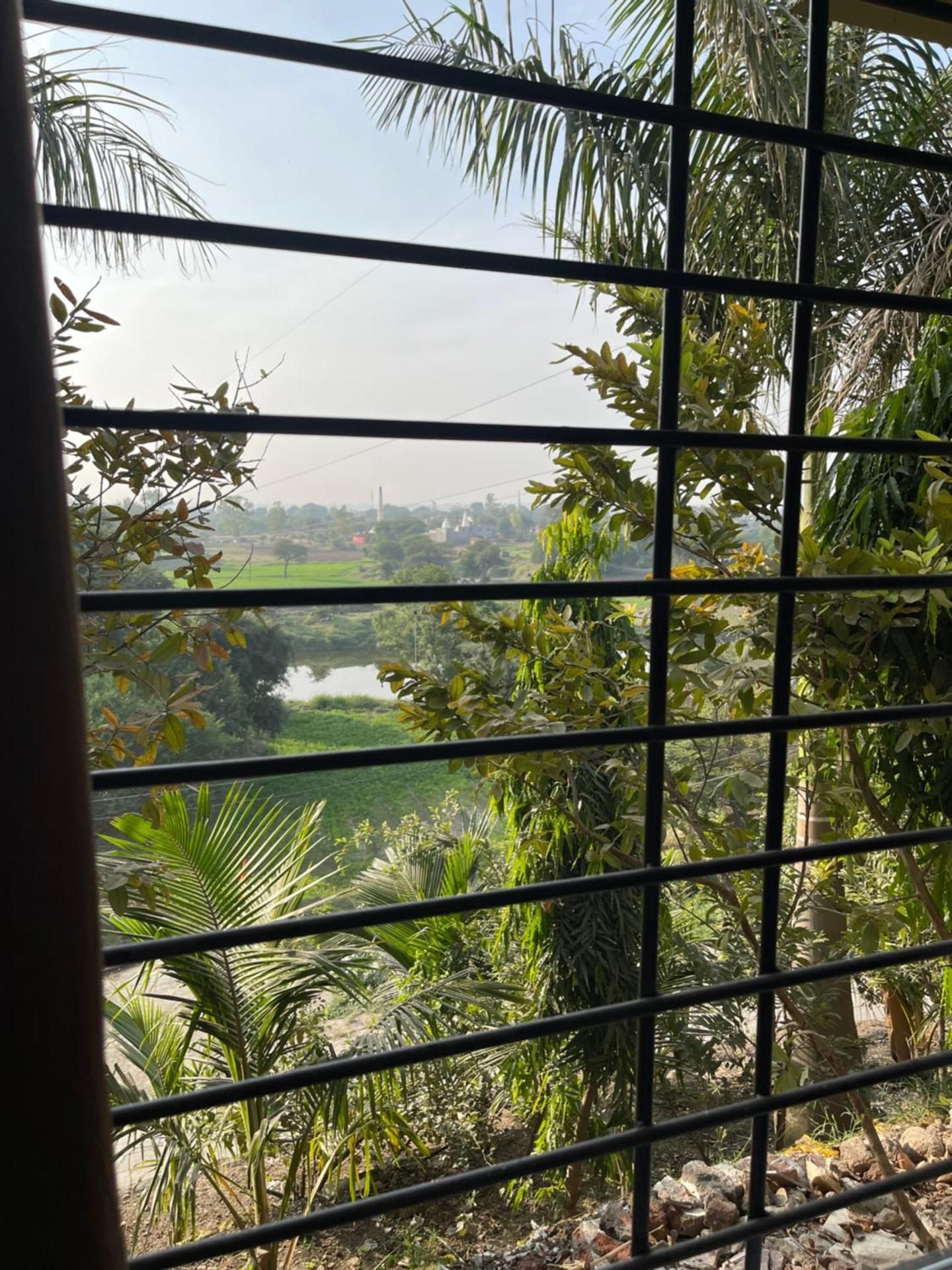 Surrounding environment