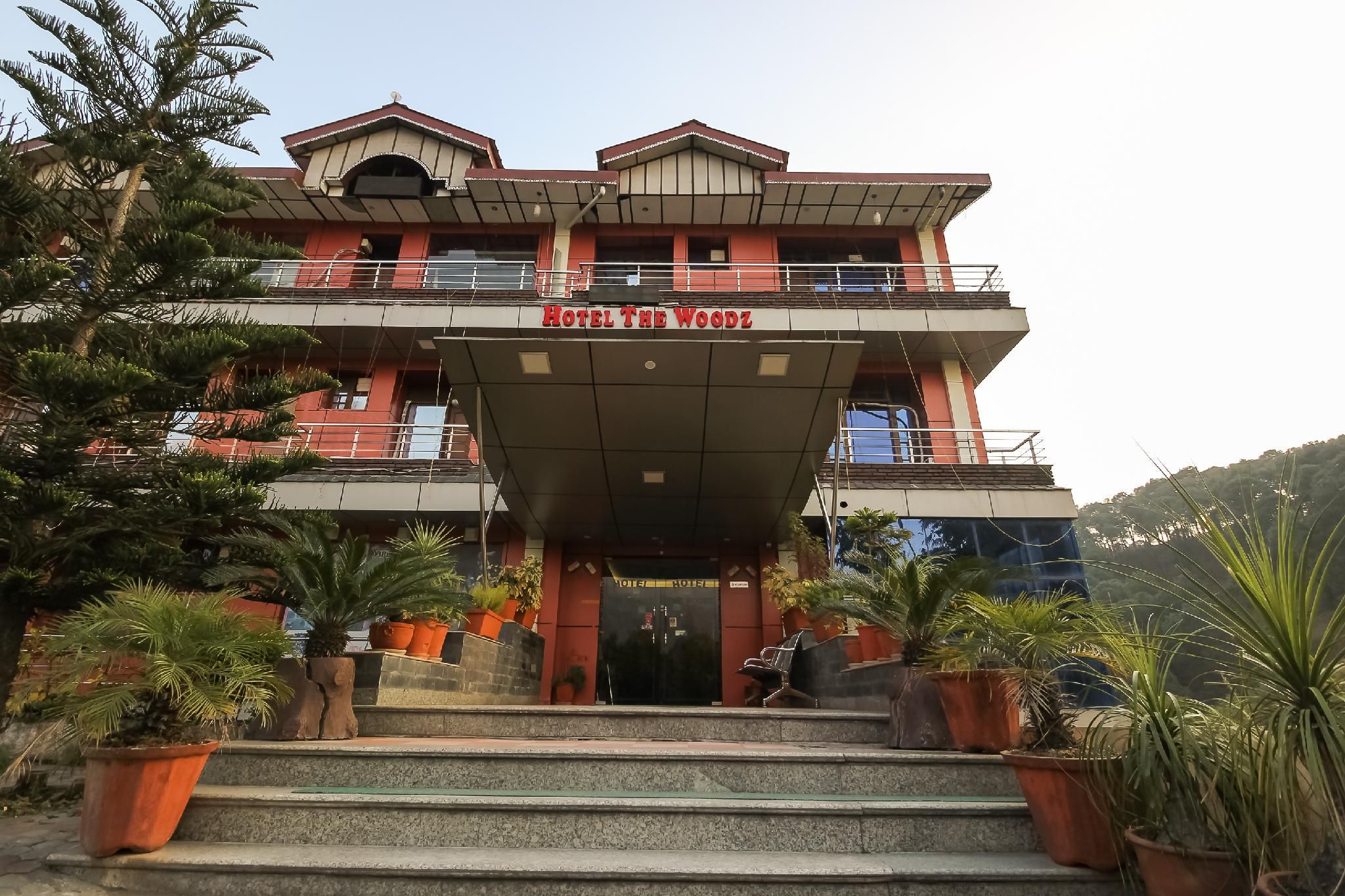 OYO 8367 Hotel The Woodz