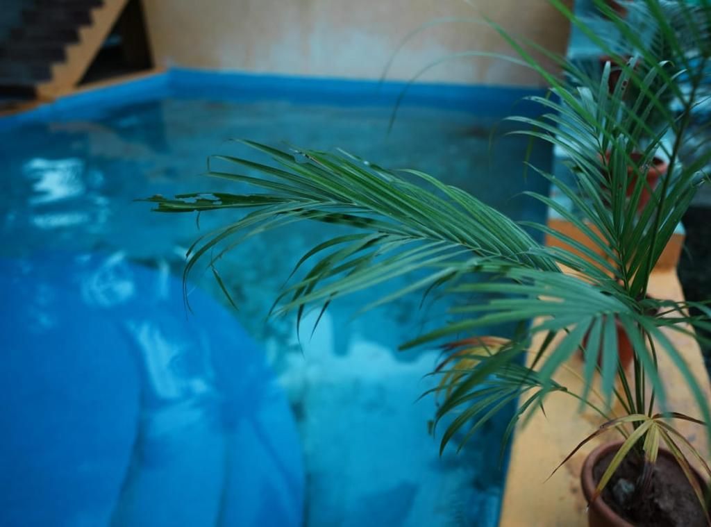 Swimming pool [outdoor]