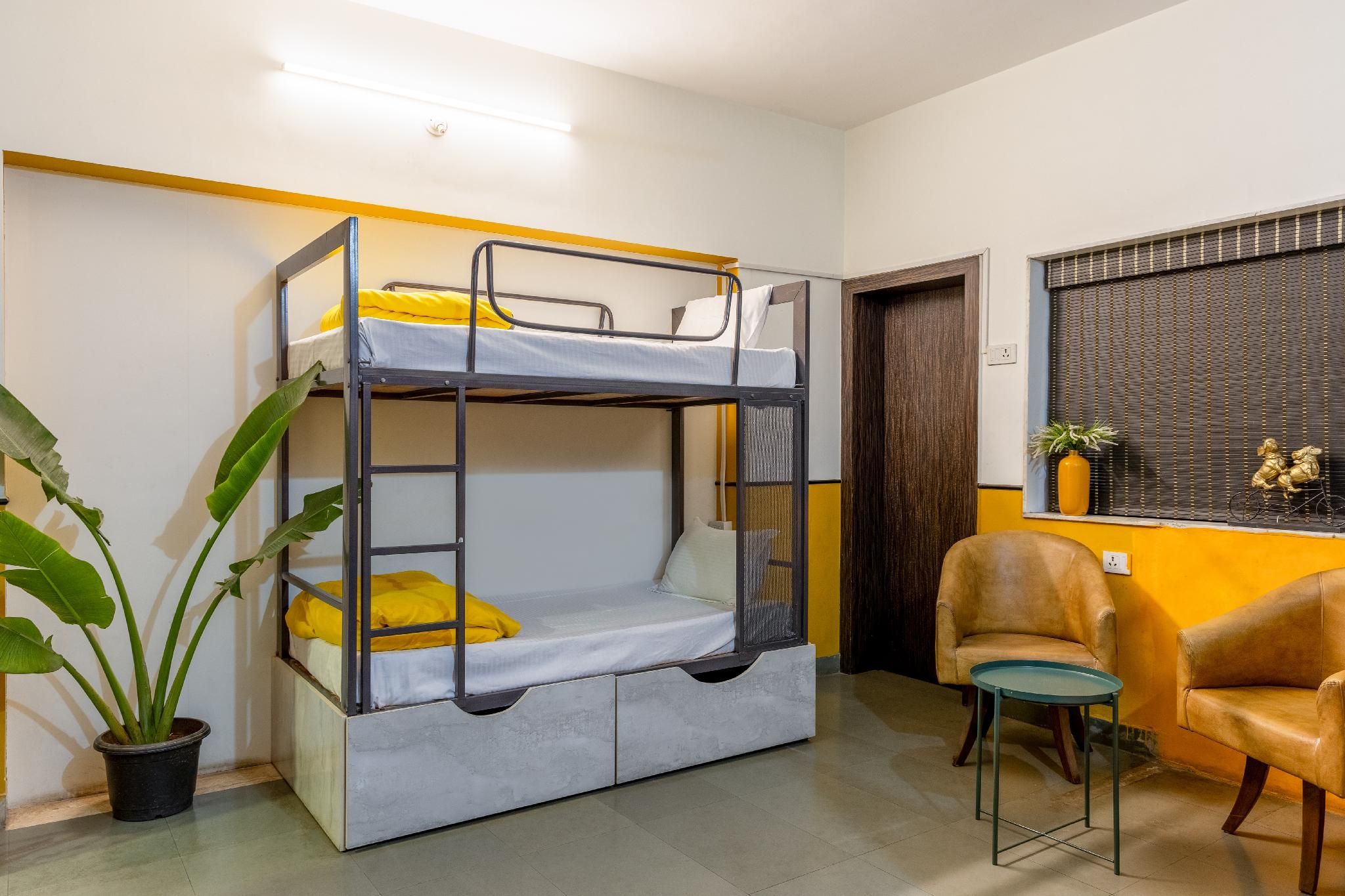 Dorm Premium Mix 4 Sharing