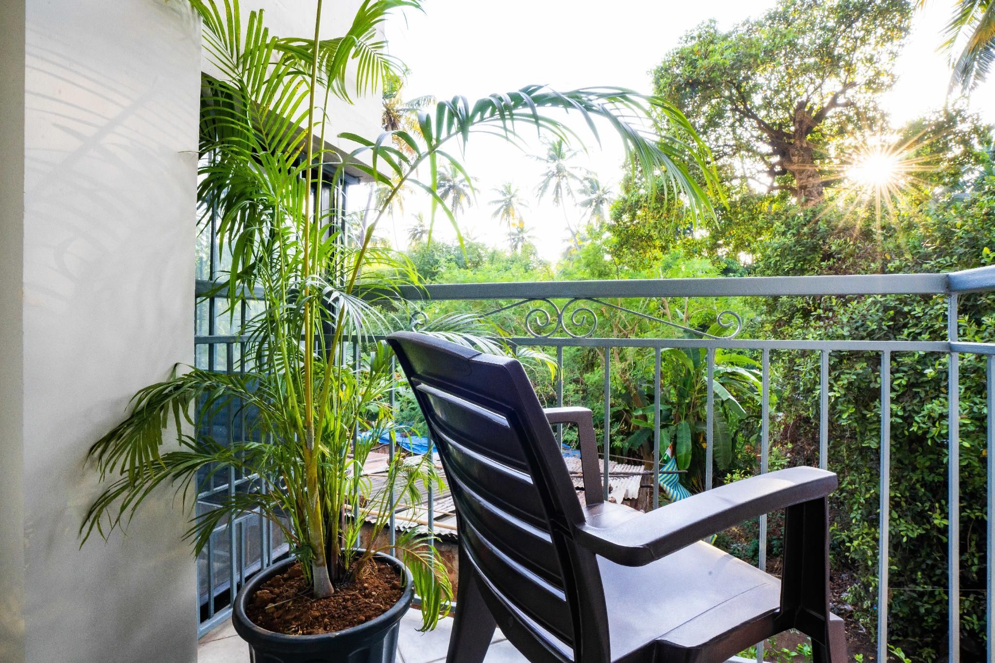 Zostel Goa (Morjim) Standard Room with Balcony 2