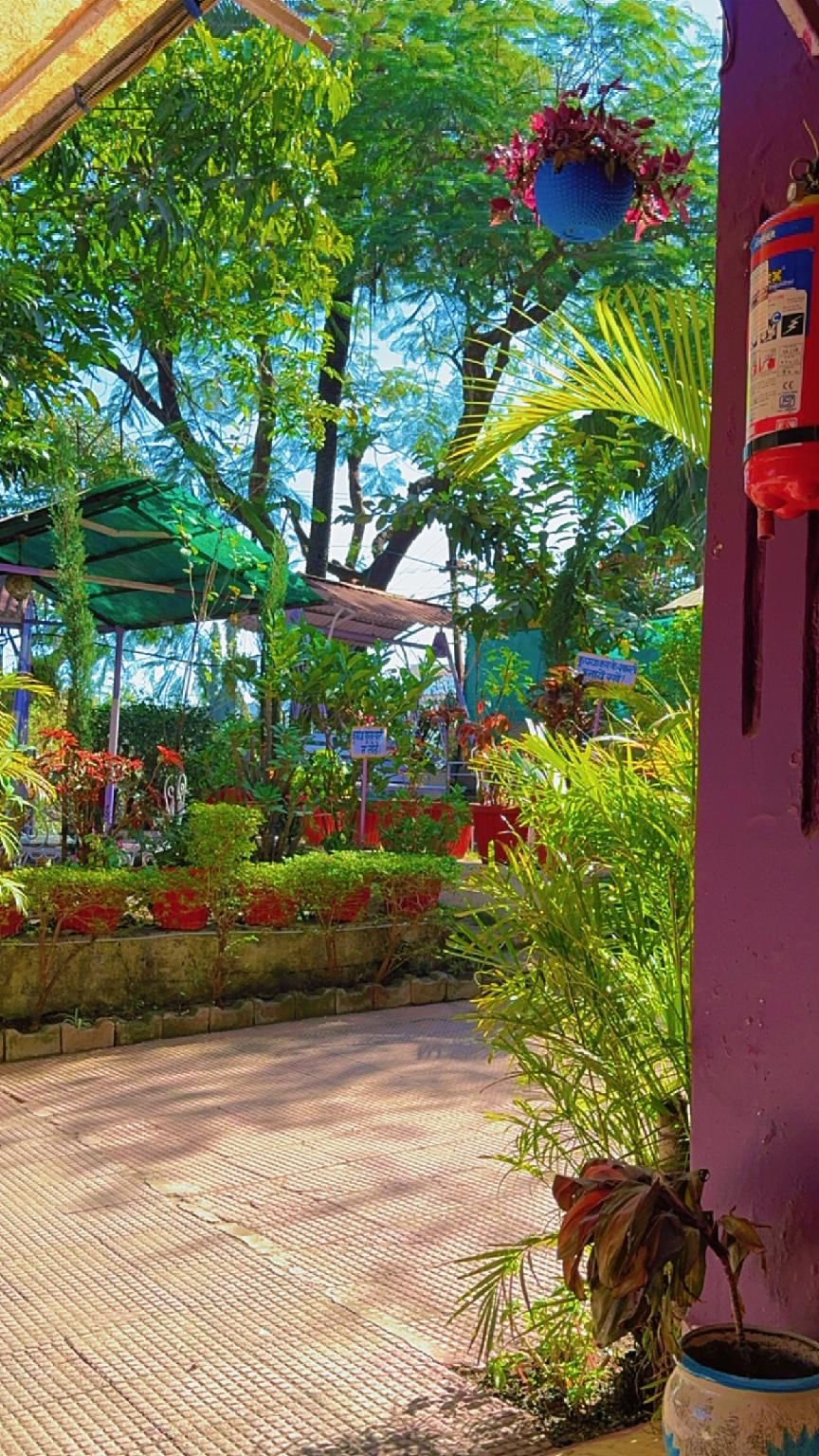 Hotel New Sun N Rock ( 1km from Nakki Lake )