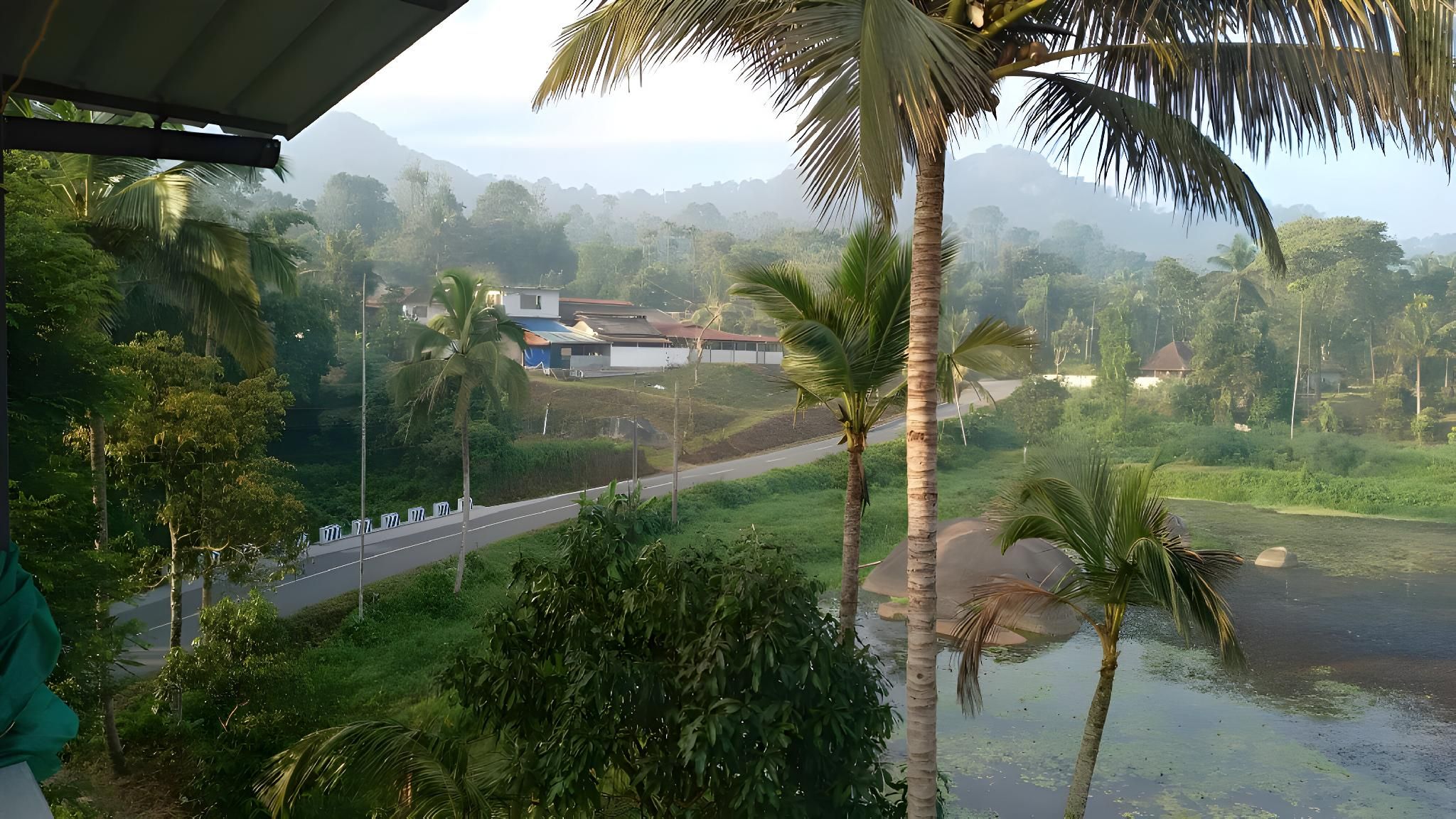 View