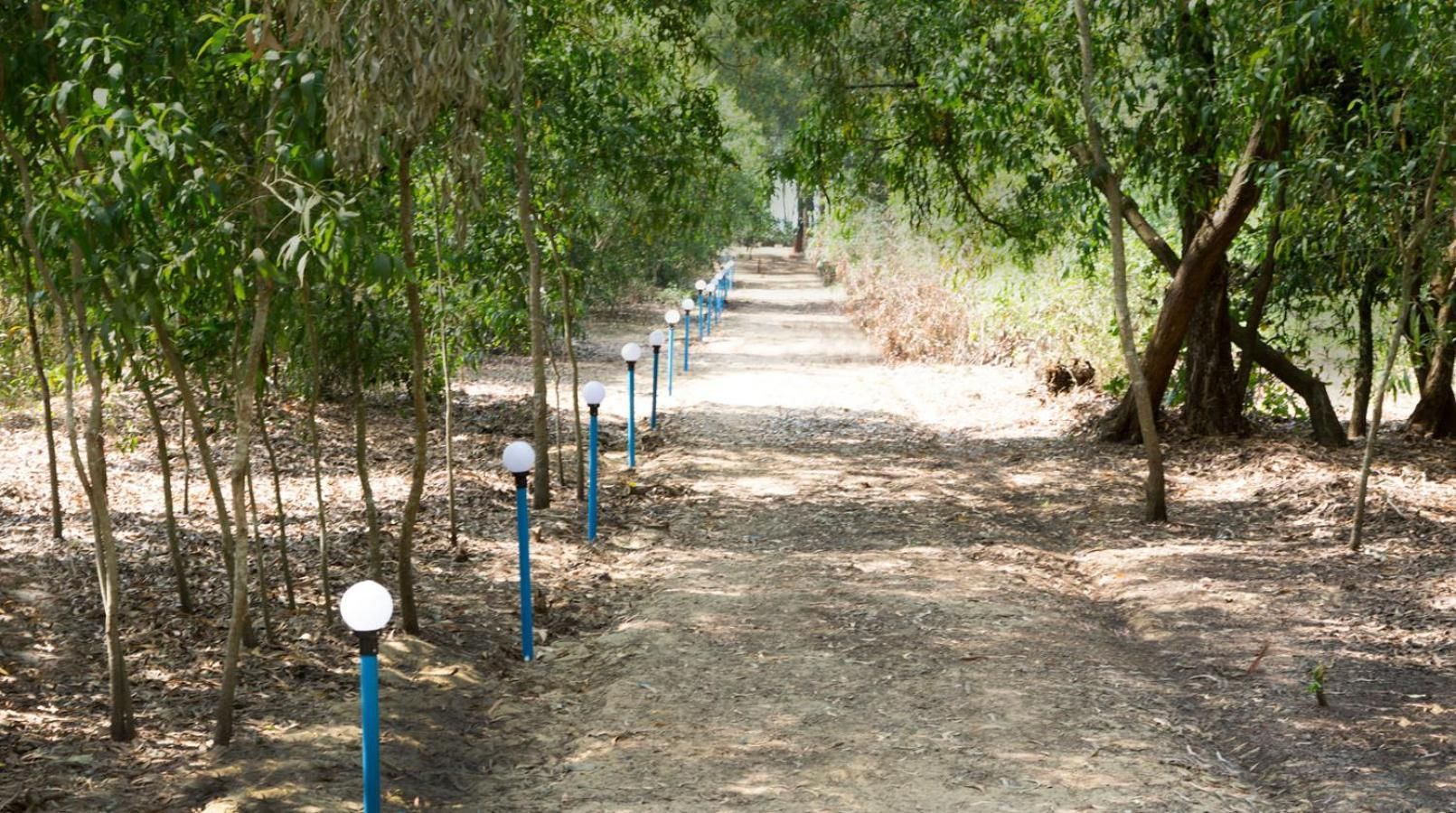 Surrounding environment