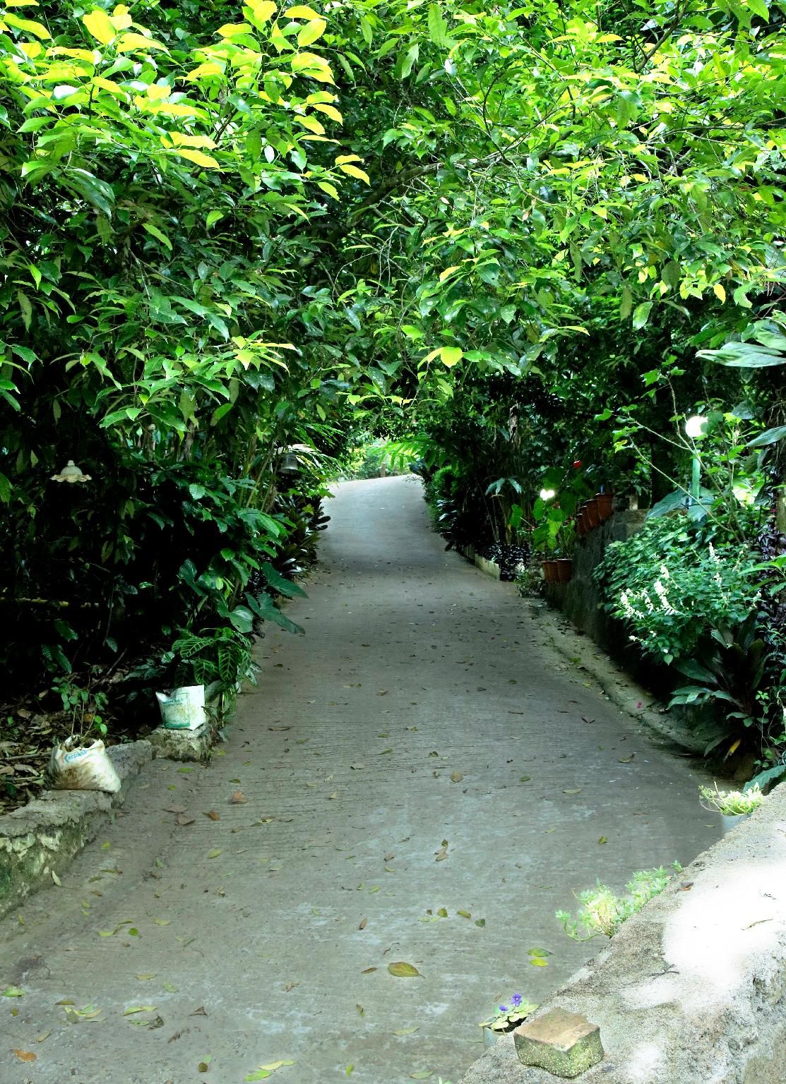 Surrounding environment