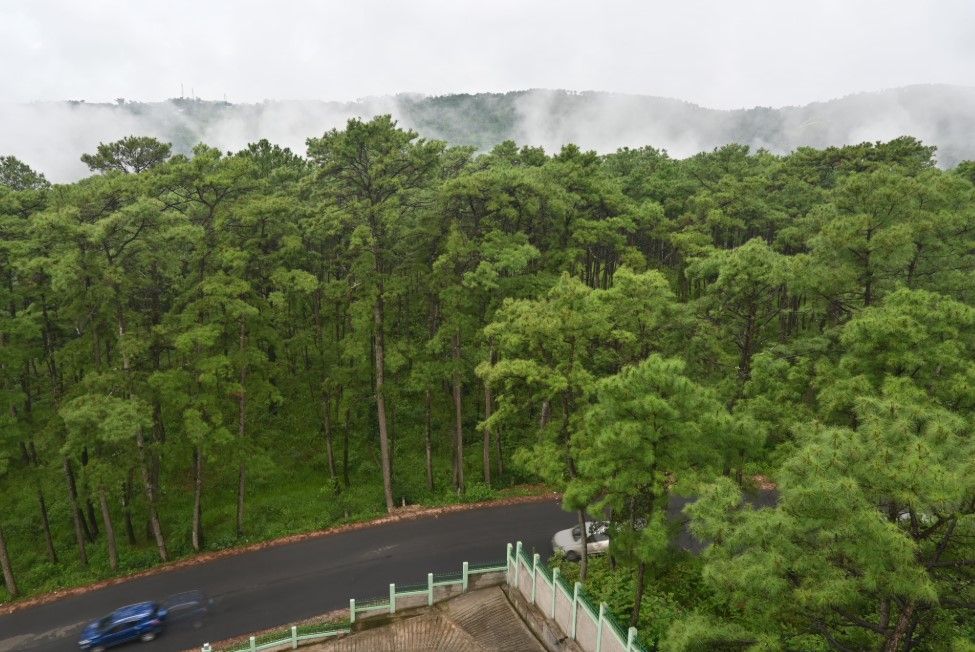 Hotel View