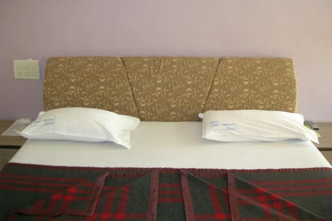 Hotel Gomti Nandan Palace Deluxe Double or Twin 2