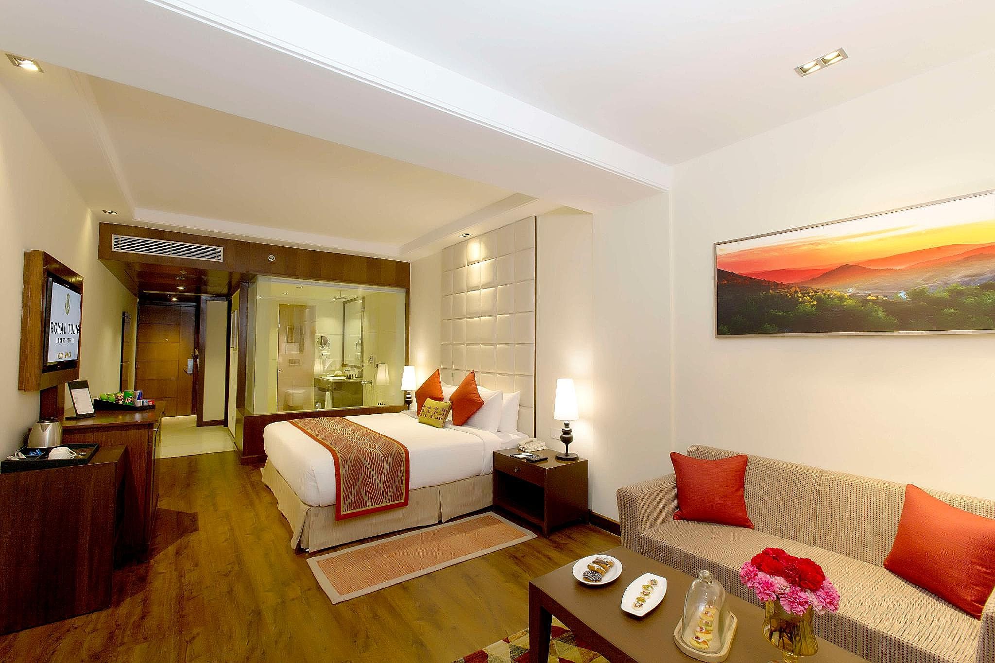 Luxury Room