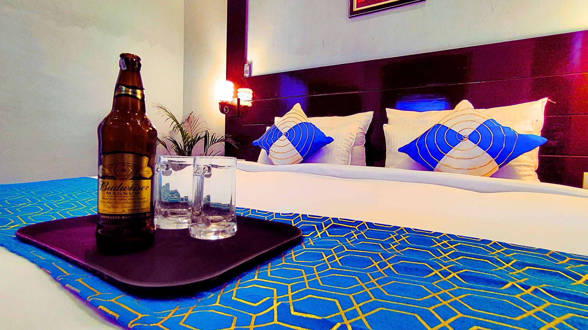 THE  Madhu Nandan  Economy Room 6