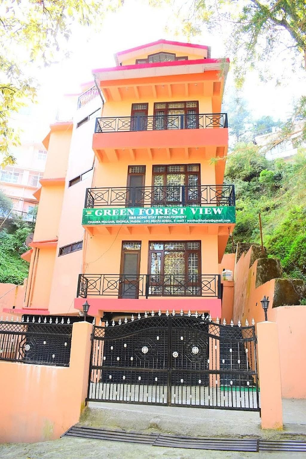 Green Forest View Shimla