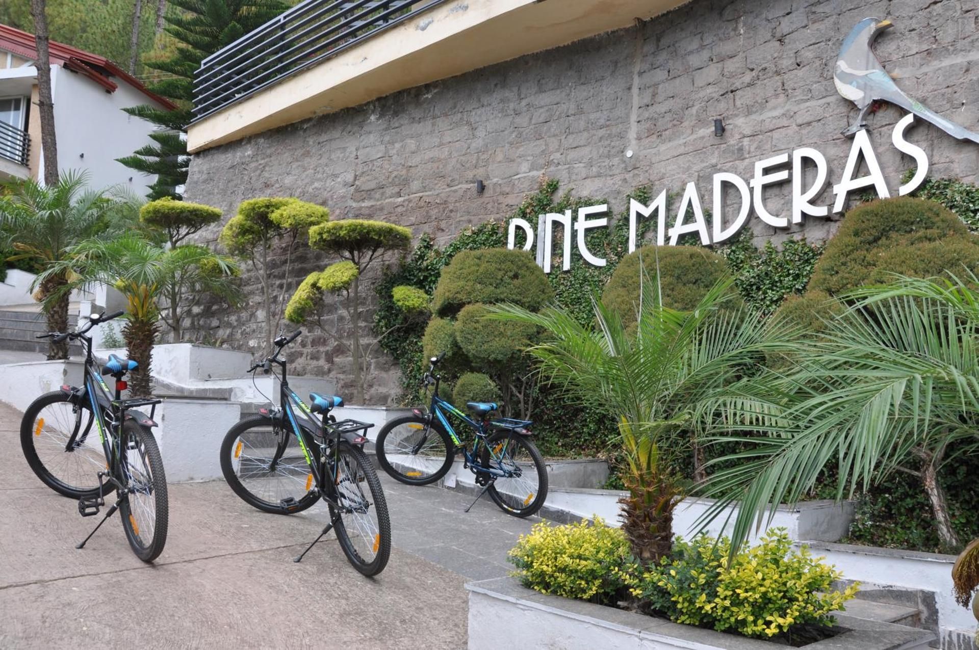 Sports and activities