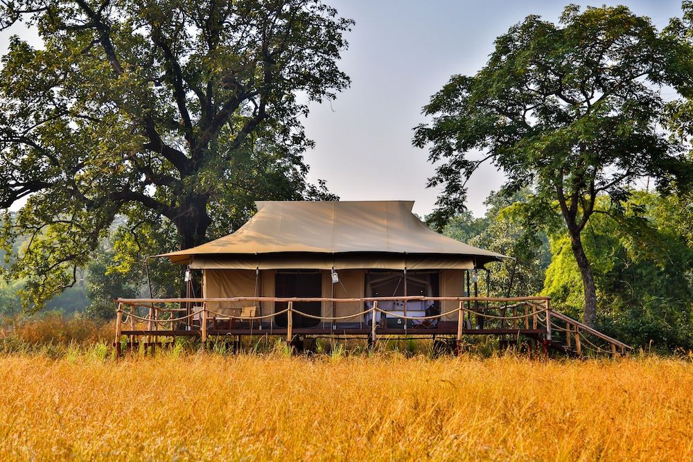 Untamed Bandhavgarh — property photograph