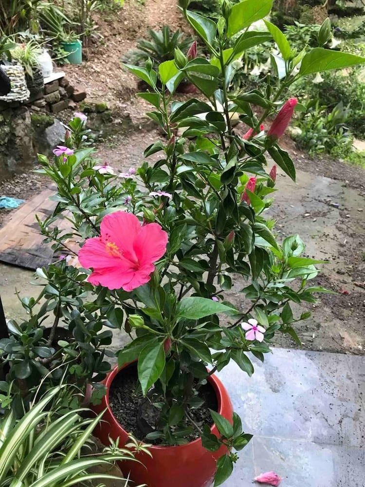 Impeccable 2-bed Apartment in Solan, HP Apartment 43