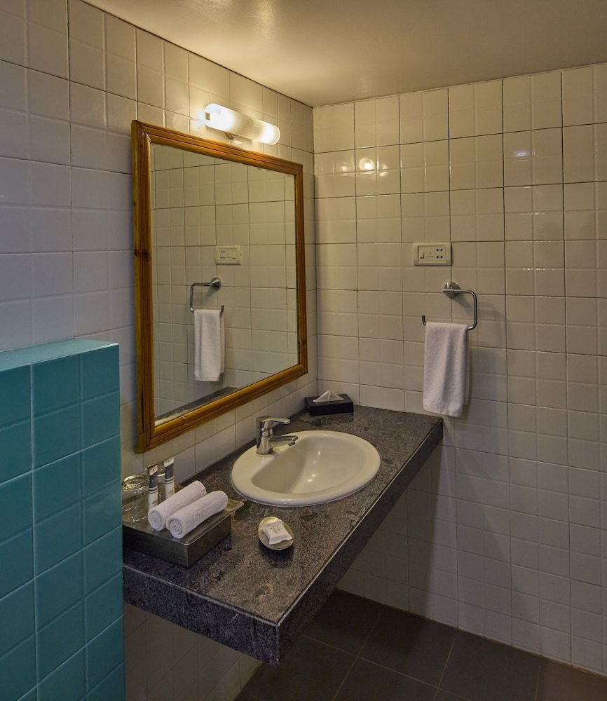 IBIS King Room