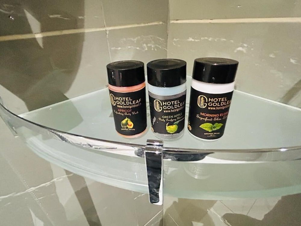 Five Elements Hotels Goldleaf Haldwani Superior double Room with city view 8