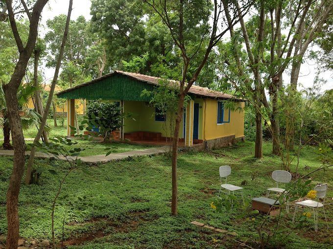  Georgia Sunshine Village