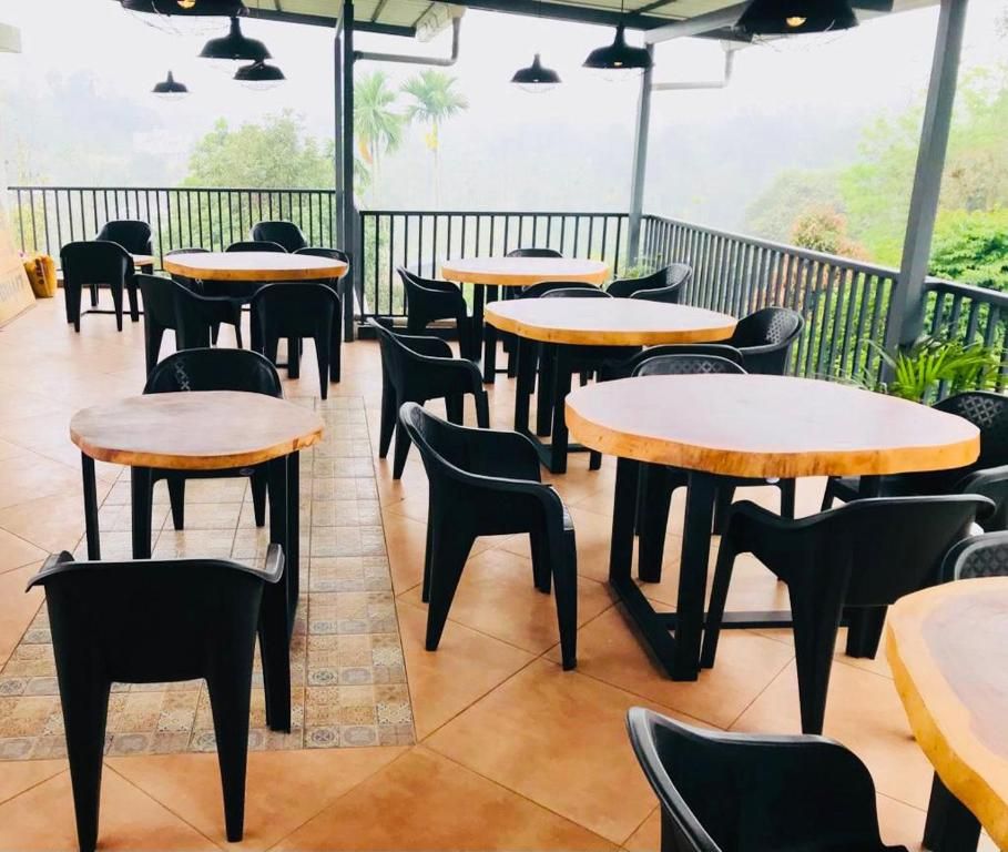 image_4491758_d00e8213-8484-4607-9d73-387d1a7b926a