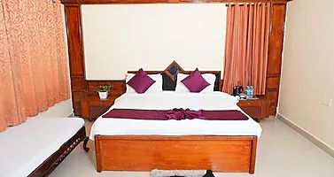 image_4491771_e034ee46-c1f8-4c36-a638-b54cf15d6002