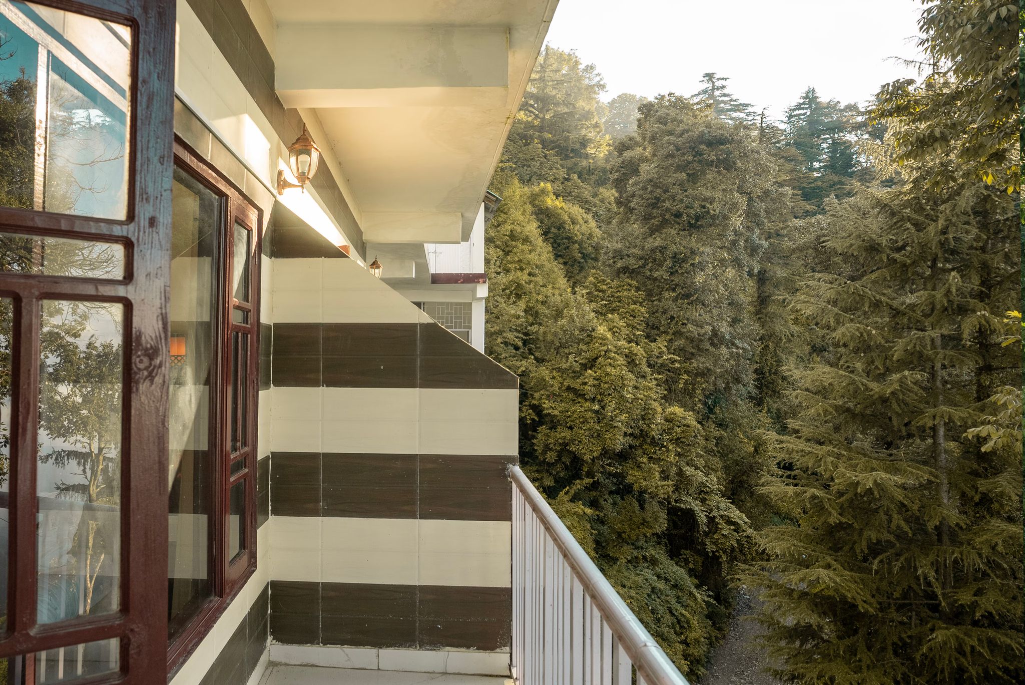 image_4491818_dc5afc3a-90bb-4a94-a866-dc3dfe96b1bd