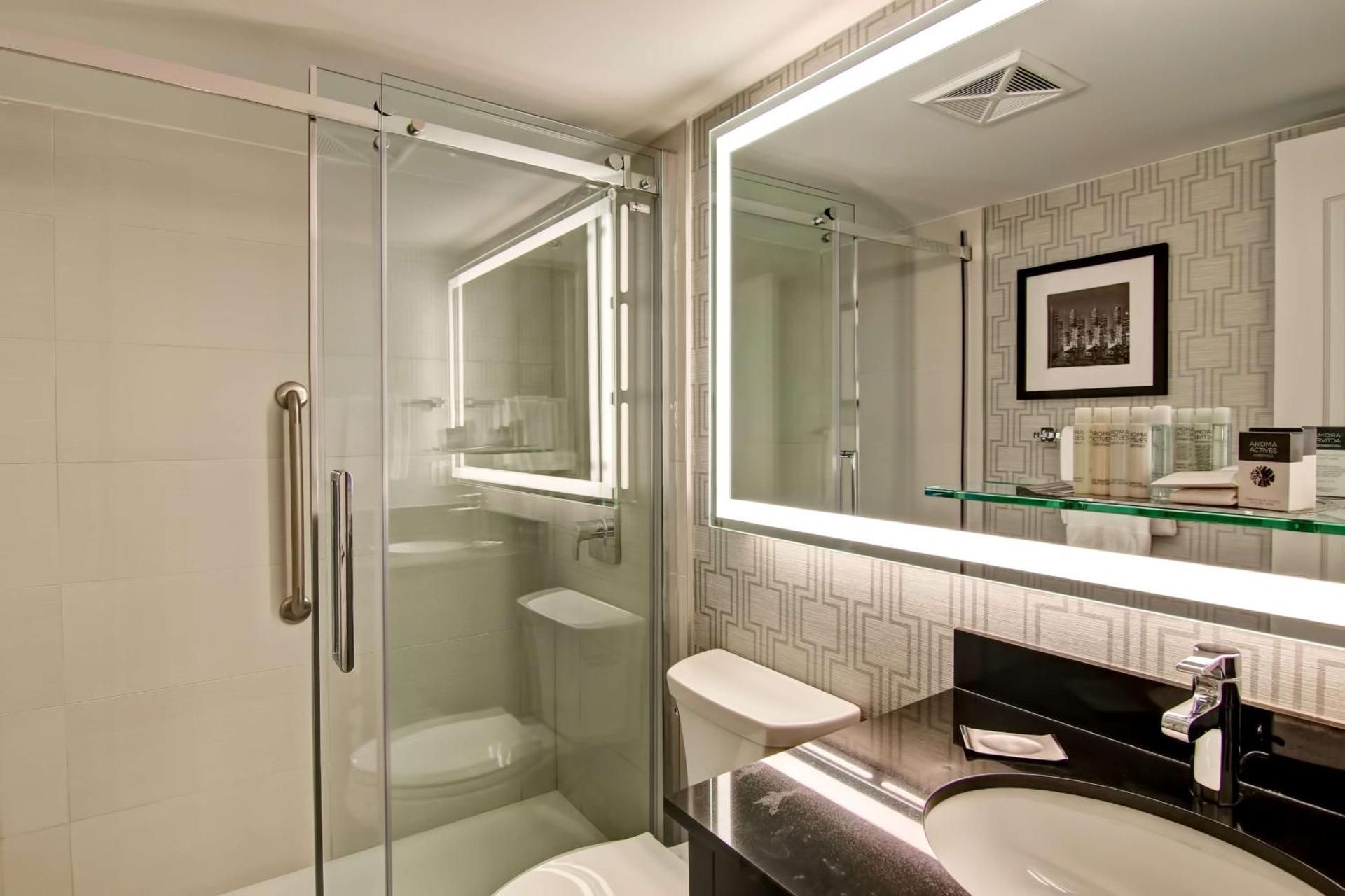 1 King 2 Rm Deluxe Suite W/kitchen And Sofabed