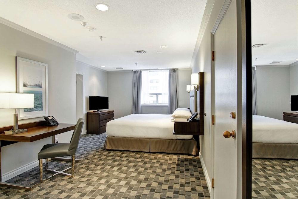 Room, 1 King Bed