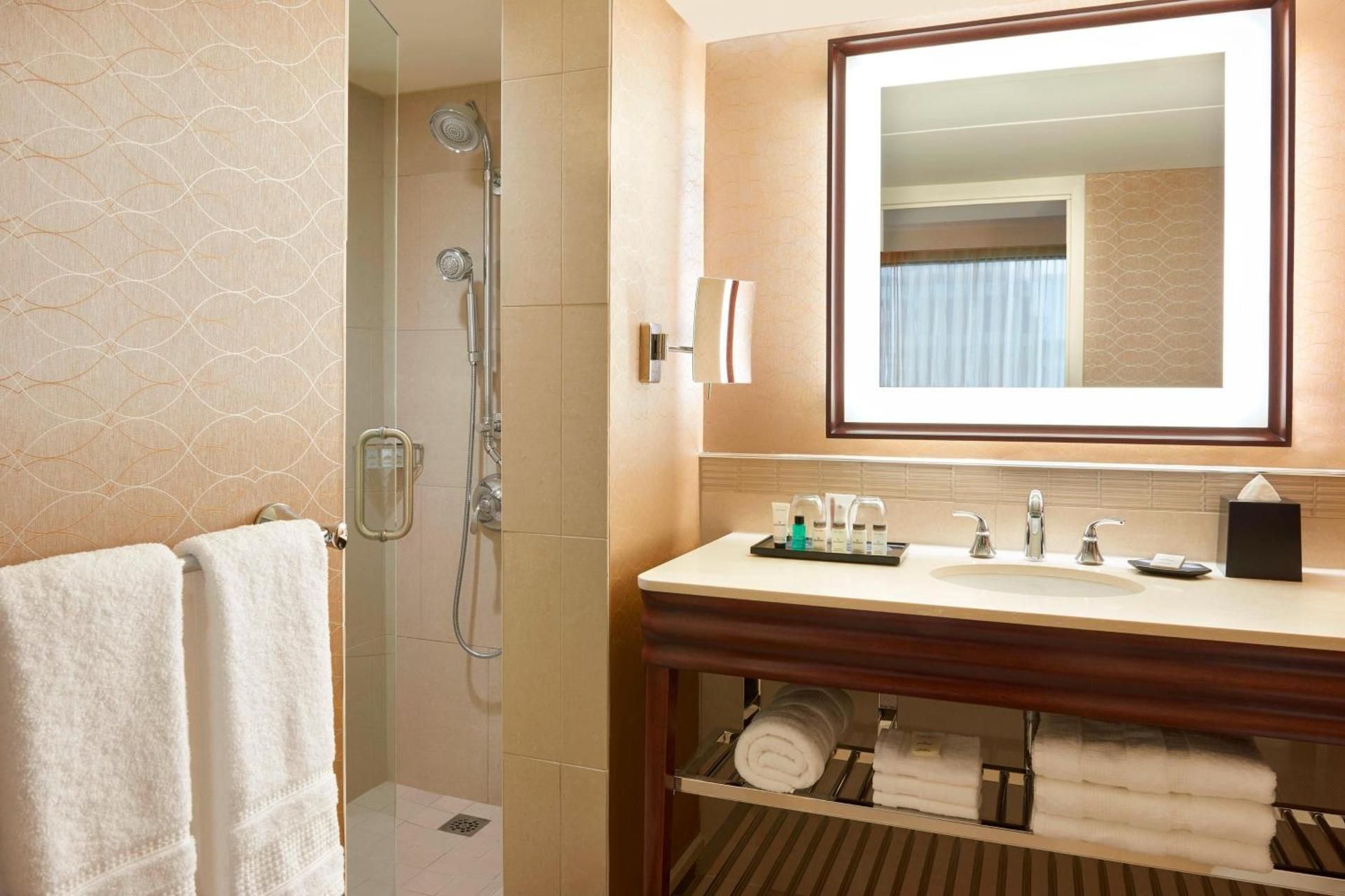 Premium Suite, Club Lounge Access, 1 Queen Bed