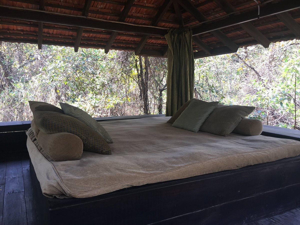 Baghvan-A Taj Safari, Pench National Park Colonial Bungalows with Machaan 7