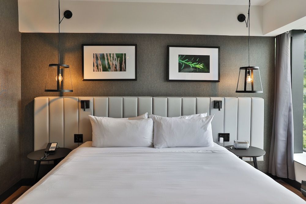 Room, 1 Queen Bed