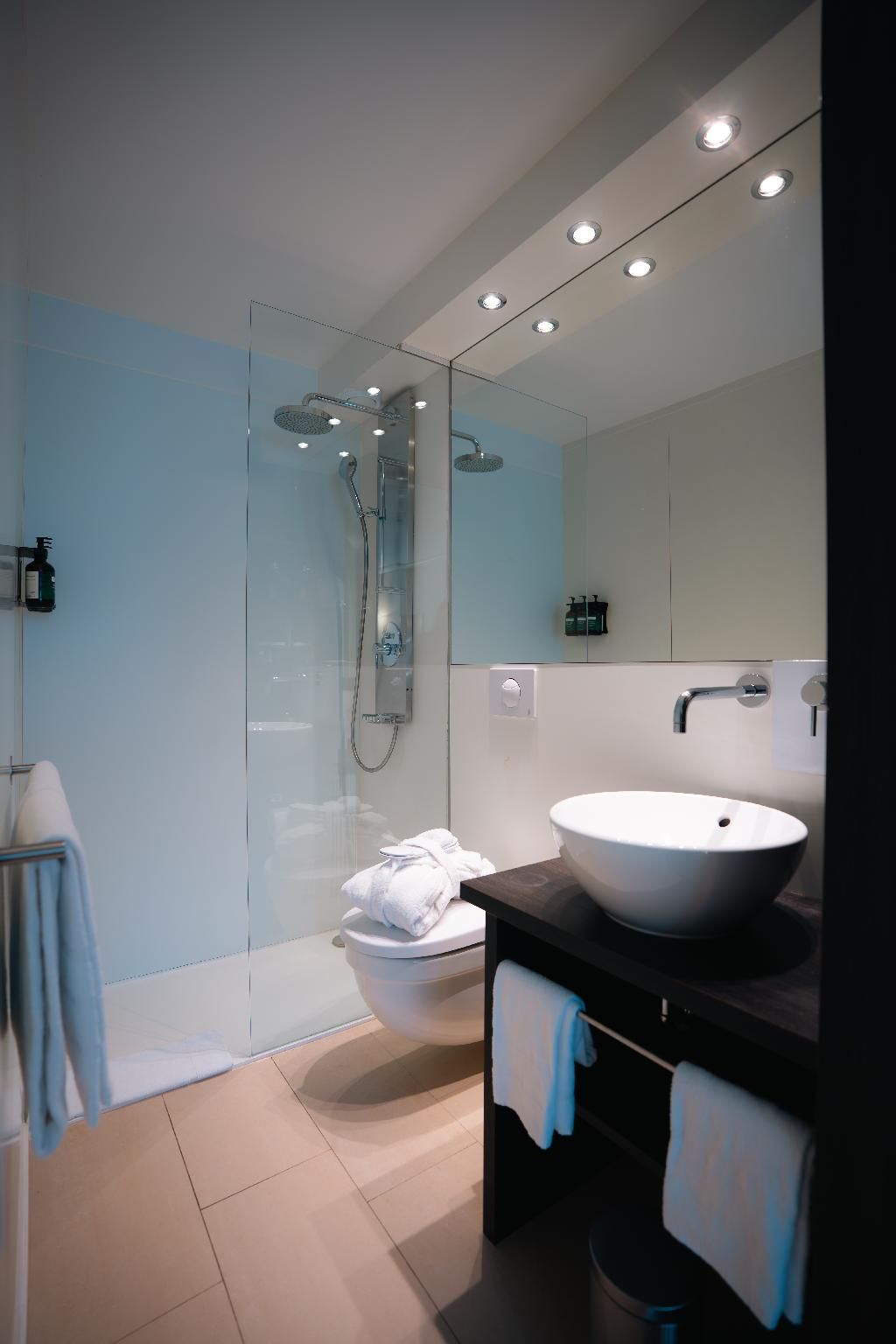 Crowne Plaza Zürich by IHG Standard Room 13