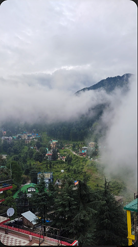 Hotel View