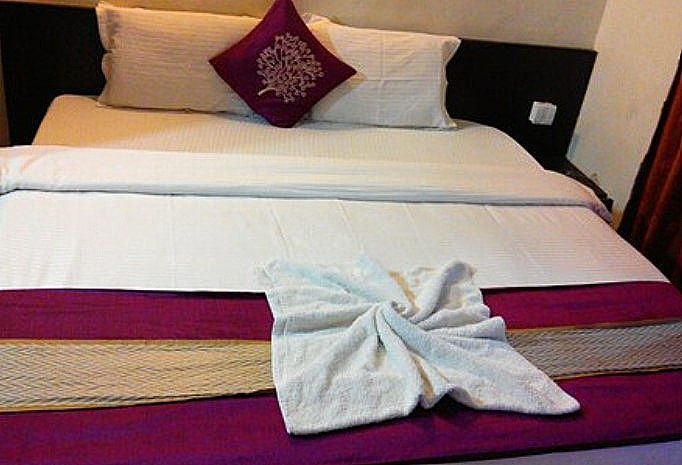 Shruti Resort Deluxe Room 3