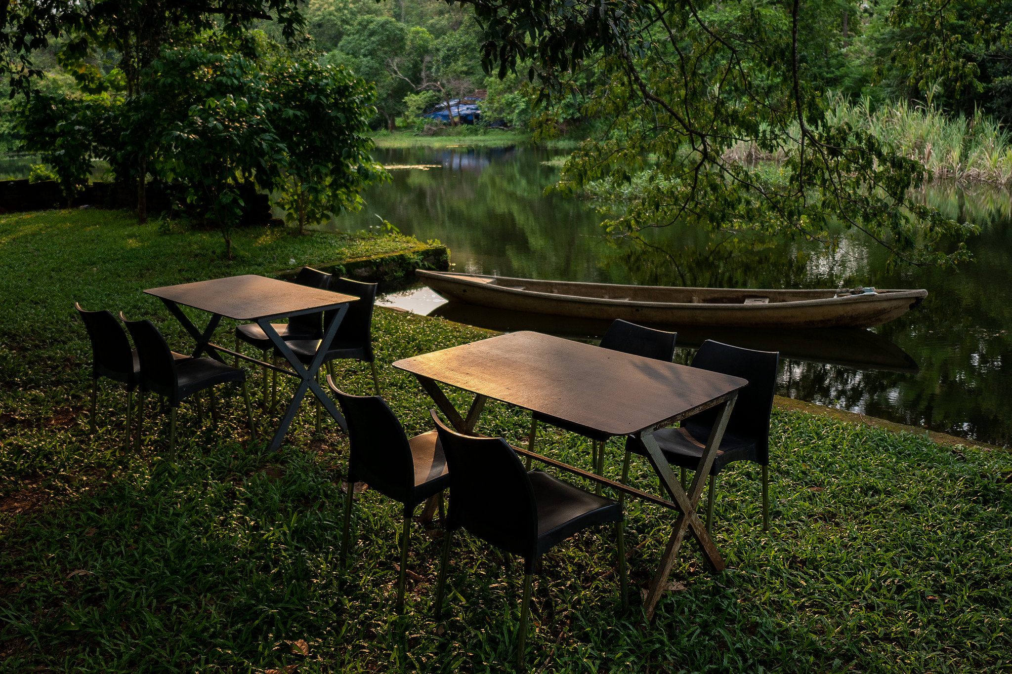  The Nest Resort Thattekad