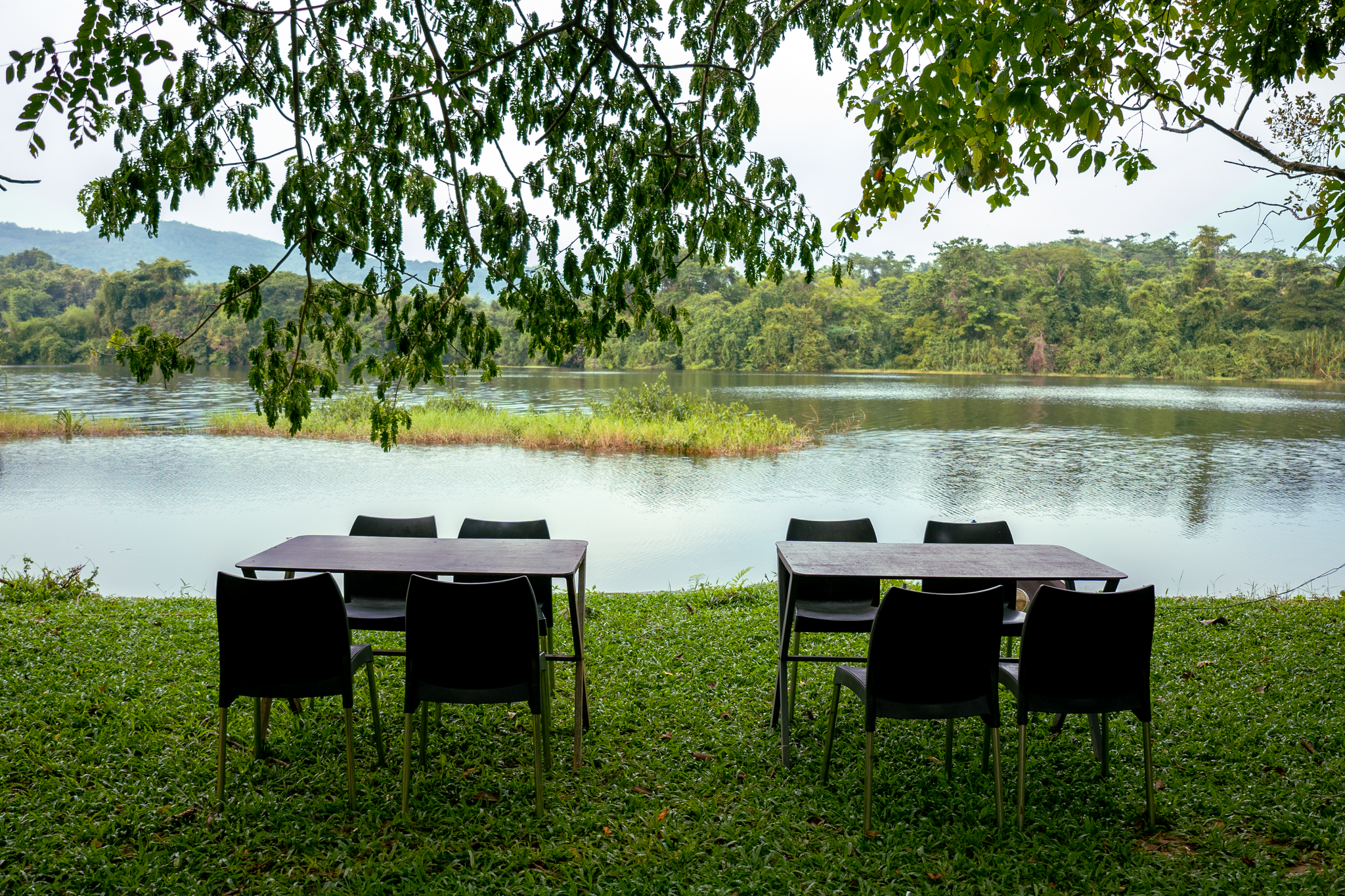 Food & Dining