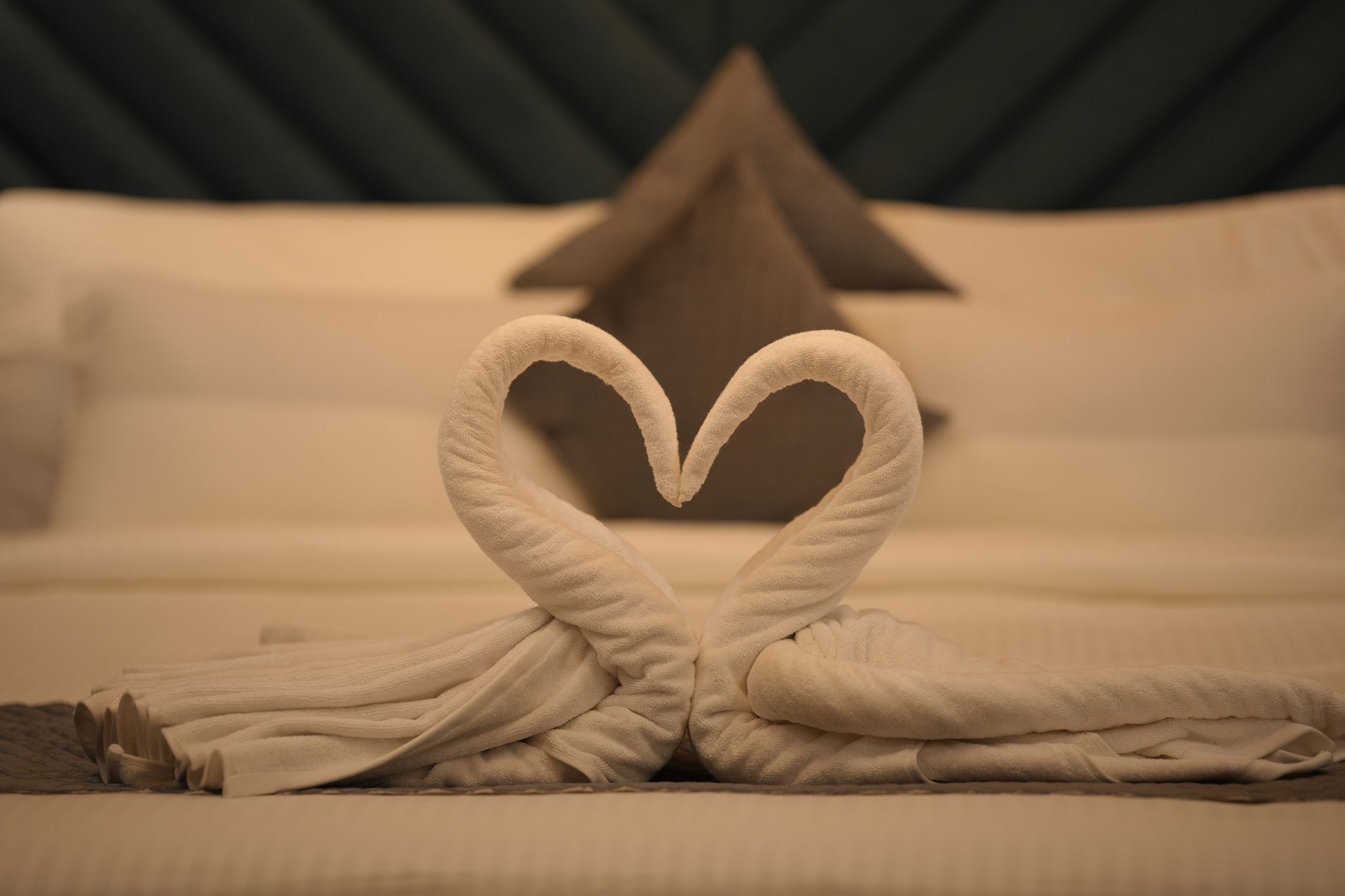 DN Resort Deluxe Room