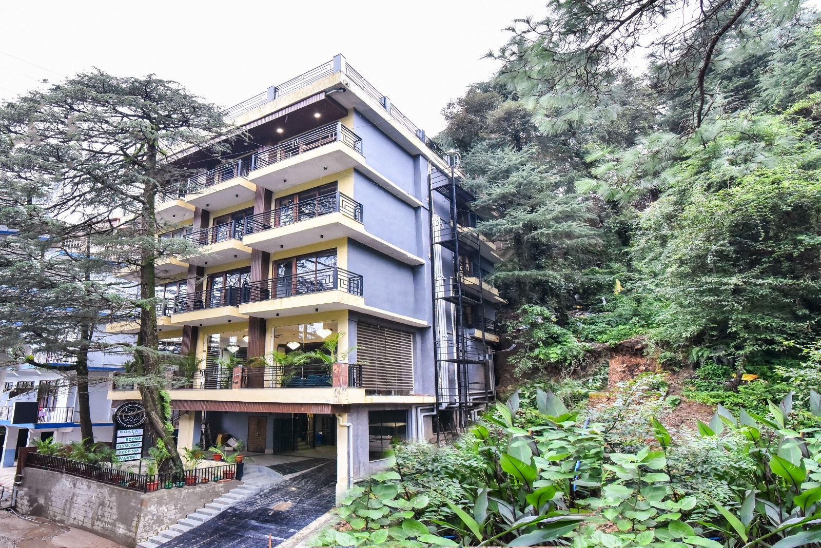 LA Riqueza Koala Inn Mcleod Ganj - Near to Dalai Lama Temple & Mall Road