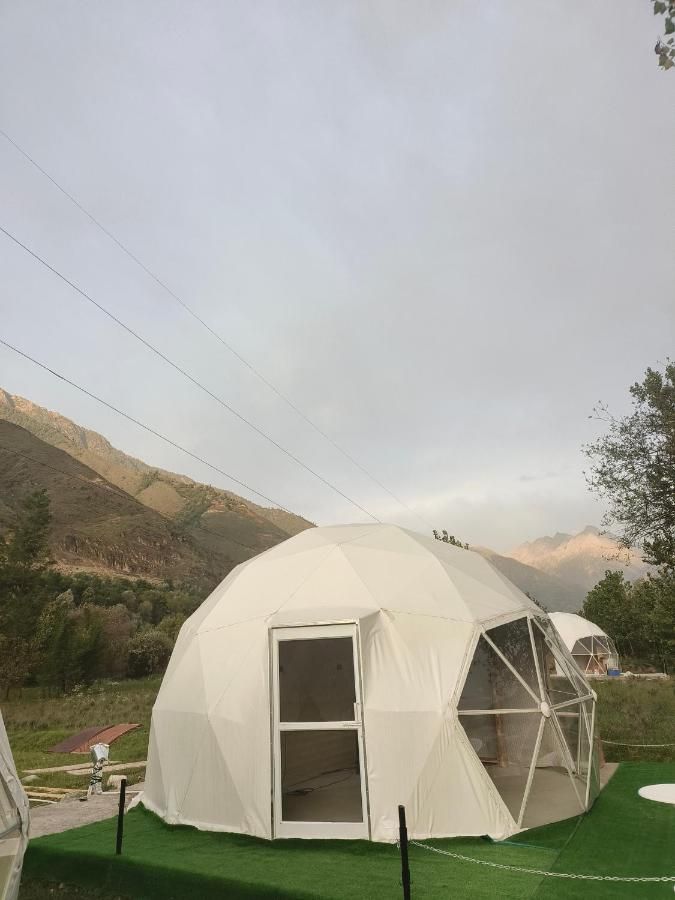 North Cliff by Stay Pattern