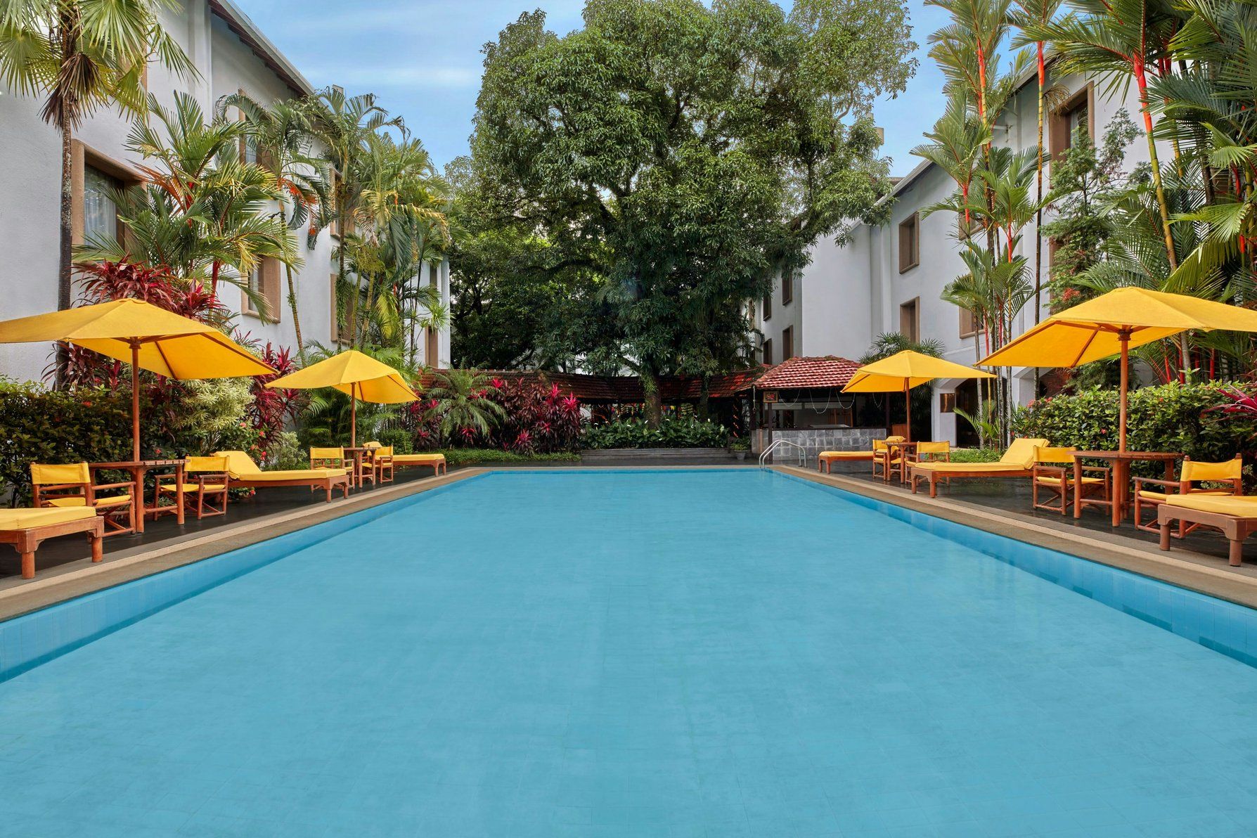 Swimming Pool - Outdoor