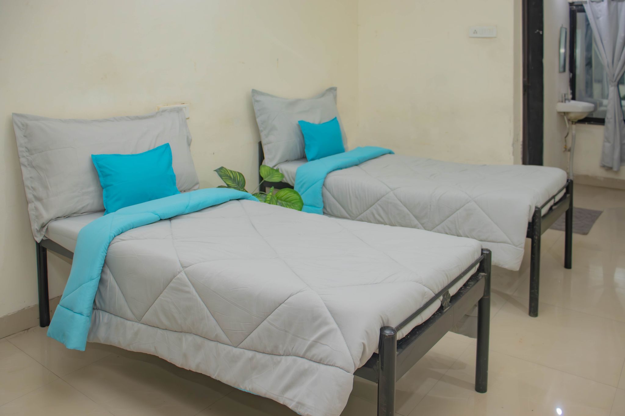 Z Express Ample Standard Twin 4