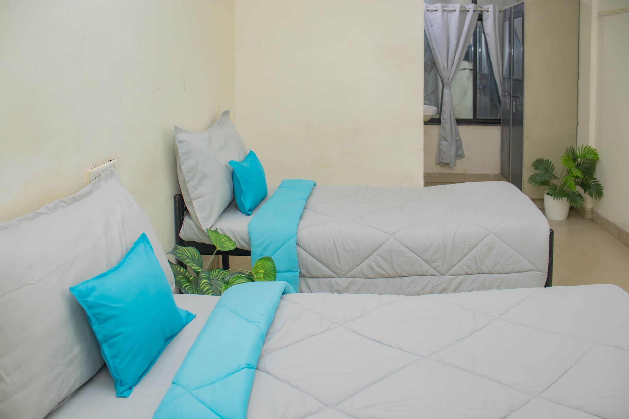 Z Express Ample Standard Twin 6