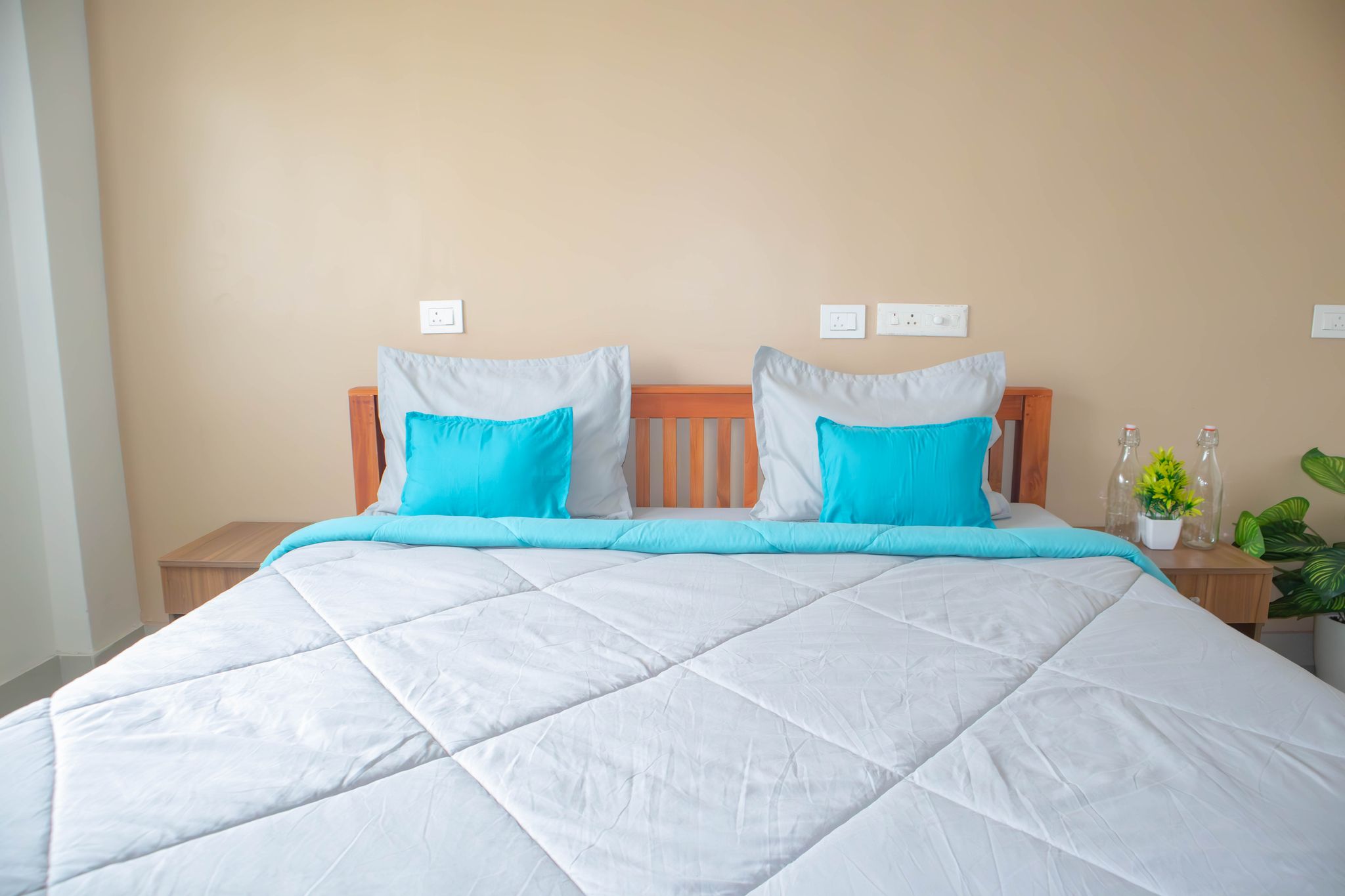 Z Express Einstein Deluxe Queen